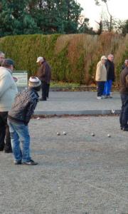 la dinde de noël 17/12/2011